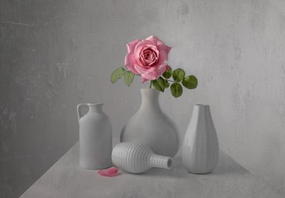 Zarte Rosa Rose Stillleben von Margareth Perfoncio
