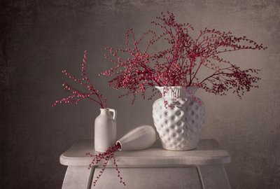 Elegantes Beeren Stillleben von Margareth Perfoncio