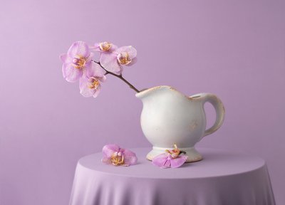 Elegante Lavendel-Orchideen von Margareth Perfoncio