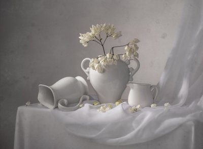 Elegantes weißes Stillleben von Margareth Perfoncio