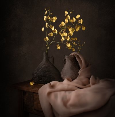 Stimmungsvolle gelbe Orchideen von Margareth Perfoncio