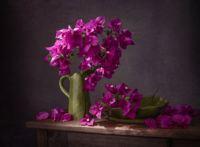 Lebhafte Bougainvillea Stillleben von Margareth Perfoncio