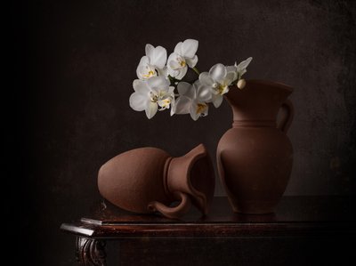 Weiße Orchideen Stillleben von Margareth Perfoncio
