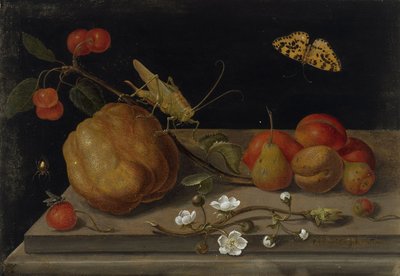 Stillleben mit Früchten, einer Heuschrecke und einem Schmetterling, zwischen 1670 und 1680 von Maria Sibylla Merian