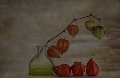 Stille Herbstlaternen von Marie-anne Stas