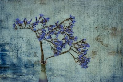Rustikale blaue Blumenvase von Marie-anne Stas