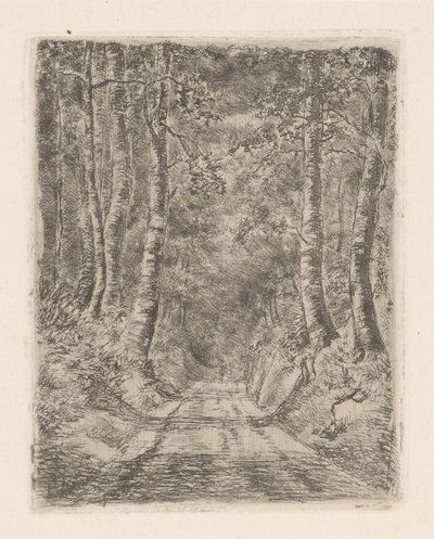 Wald entlang eines Hohlwegs von Marie Adolphine van der Goes van Dirxland