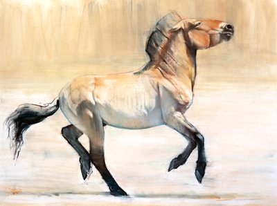 Equus (Przewalski), 2014 von Mark Adlington