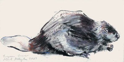 Europäischer Biber (Studie) 2001 von Mark Adlington
