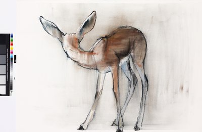 Gazellenkitz (Arabische Gazelle) von Mark Adlington