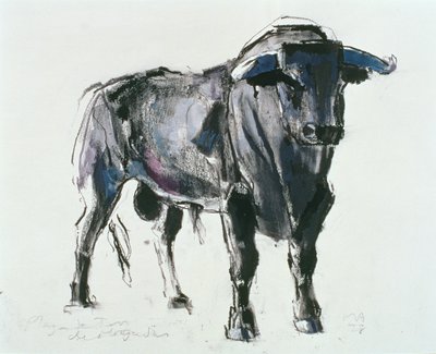 Plaza de Toros de Miajadas, 1998 von Mark Adlington