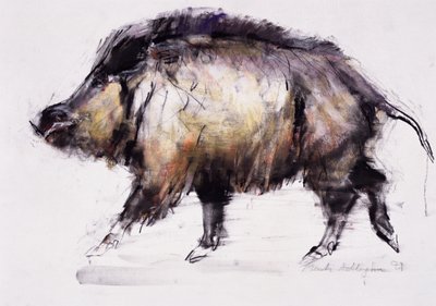 Wildschwein, 1999 von Mark Adlington