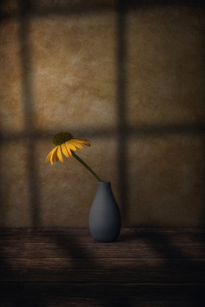 Gelber Blumenschatten von Marko Klavs