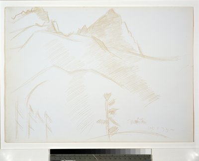 Berglandschaft mit Kiefern von Marsden Hartley