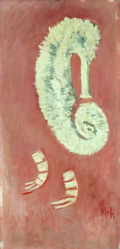 Seepferdchen und Garnele von Marsden Hartley