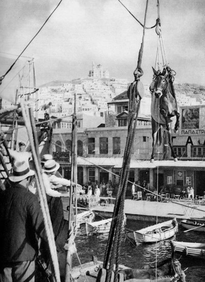 Das Verladen von Maultieren, Syros Insel, Griechenland, 1937 von Martin Hurlimann