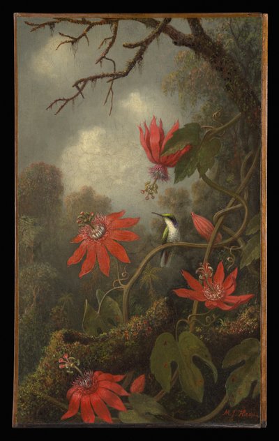 Kolibri und Passionsblumen von Martin Johnson Heade