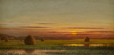 Sumpfgebiete von Martin Johnson Heade