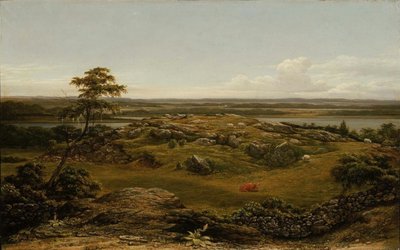 Felsen in Neuengland von Martin Johnson Heade