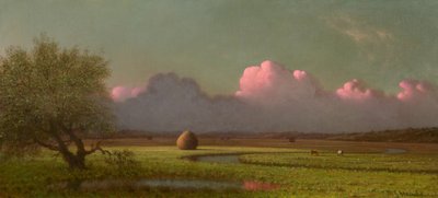 Sonnenlicht und Schatten: Die Sümpfe von Newbury von Martin Johnson Heade