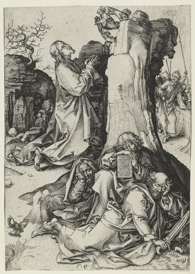 Die Agonie im Garten von Martin Schongauer