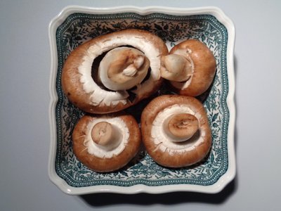 Villeroy und Boch Porzellan mit Pilzen von Martina Konitzky