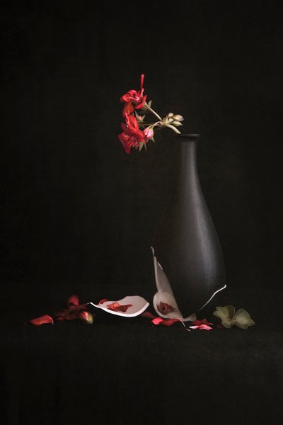  von Martine Benezech