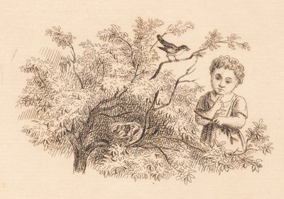 Illustration zu "Halvhundrede Fabler for Børn" von Hey von Martinus Rørbye