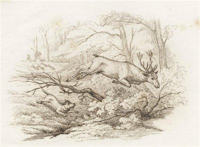 Illustration zu „Halvhundrede Fabler for Børn“ von Hey von Martinus Rørbye