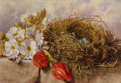 Ein Stillleben mit blühenden Tulpen und einem Vogelnest auf einem Sims von Mary Elizabeth Duffield