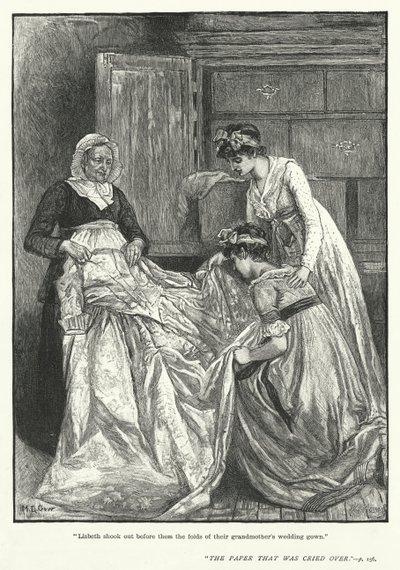 Lisbeth schüttelte vor ihnen die Falten des Hochzeitskleides ihrer Großmutter aus von Mary L. Gow