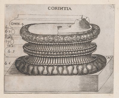 Speculum Romanae Magnificentiae: Korinthische Basis, ca. 1537 von Master GA