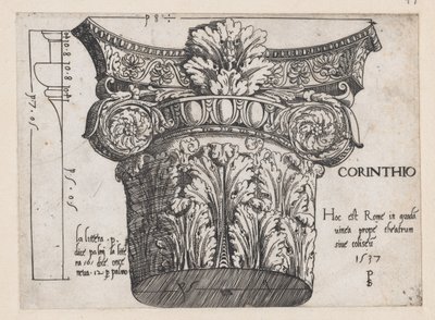 Speculum Romanae Magnificentiae: Korinthisches Kapitell, 1537 von Master PS