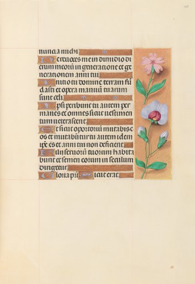 Stundenbuch der Königin Isabella der Katholischen, Königin von Spanien: Fol. 208r von Master of the First Prayerbook of Maximillian