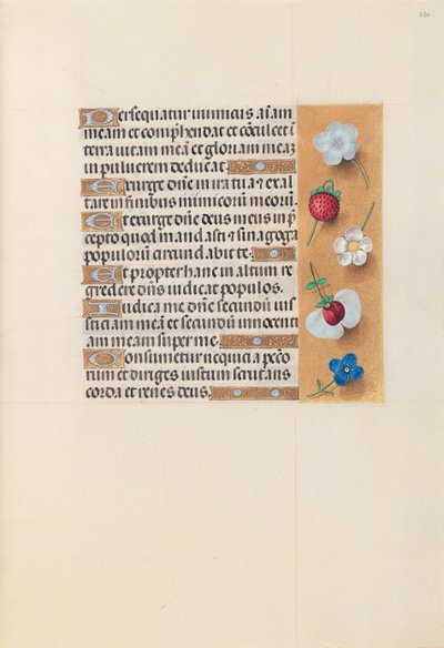 Stundenbuch der Königin Isabella der Katholischen, Königin von Spanien: Fol. 230r, um 1500 von Master of the First Prayerbook of Maximillian