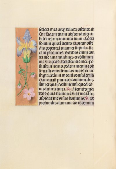 Stundenbuch der Königin Isabella der Katholischen, Königin von Spanien: Fol. 237v, ca. 1500 von Master of the First Prayerbook of Maximillian