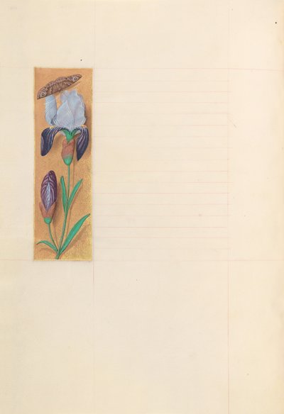 Stundenbuch der Königin Isabella der Katholischen, Königin von Spanien: Fol. 277v, um 1500 von Master of the First Prayerbook of Maximillian