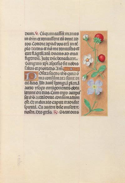 Stundenbuch der Königin Isabella der Katholischen, Königin von Spanien: Fol. 55r von Master of the First Prayerbook of Maximillian