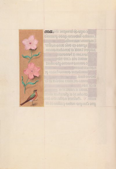 Stundenbuch der Königin Isabella der Katholischen, Königin von Spanien: Fol. 56v von Master of the First Prayerbook of Maximillian