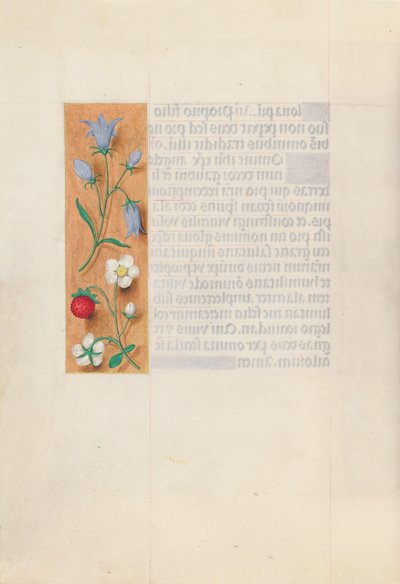 Stundenbuch der Königin Isabella der Katholischen, Königin von Spanien: Fol. 60v, um 1500 von Master of the First Prayerbook of Maximillian