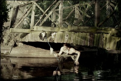 Feen fangen 1 von Mat Collishaw