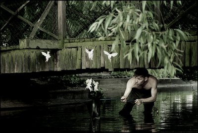 Feen fangen 6 von Mat Collishaw
