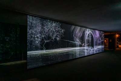 Echolokation, 2021 von Mat Collishaw