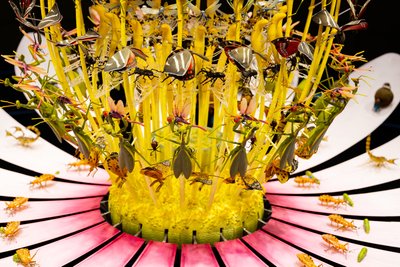Äquinoktium, 2021 von Mat Collishaw
