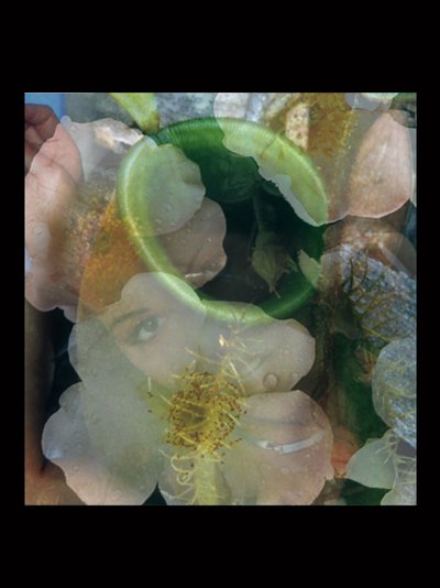 Fleischfresser 2 von Mat Collishaw