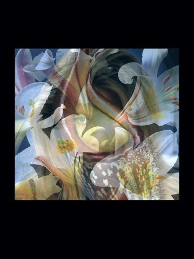 Fleischfresser 3 von Mat Collishaw