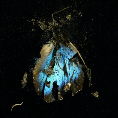 Insektizid 16, 2009 von Mat Collishaw