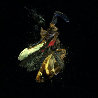 Insektizid 18 von Mat Collishaw