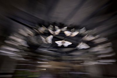 Zauberlaterne, 2010 von Mat Collishaw