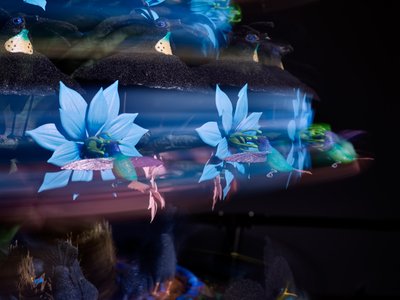 Die Zentrifugalseele, 2016 von Mat Collishaw